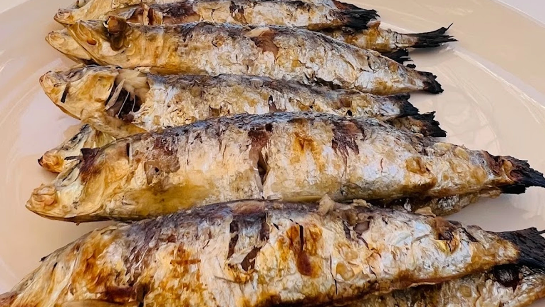 Sardinas, plato de Nacho Solana