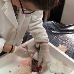 MURCIA.-Hallan microplásticos utilizados en agricultura y embarcaciones en la costa del Mar Menor y sus doradas según una tesis