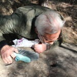 Descubiertos casi 100 grabados rupestres en 17 puntos de Guardamar y Rojales (Alicante)