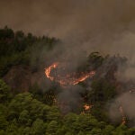 Incendios.- Ordenan la evacuación de la zona alta de Araya por el incendio forestal de Tenerife