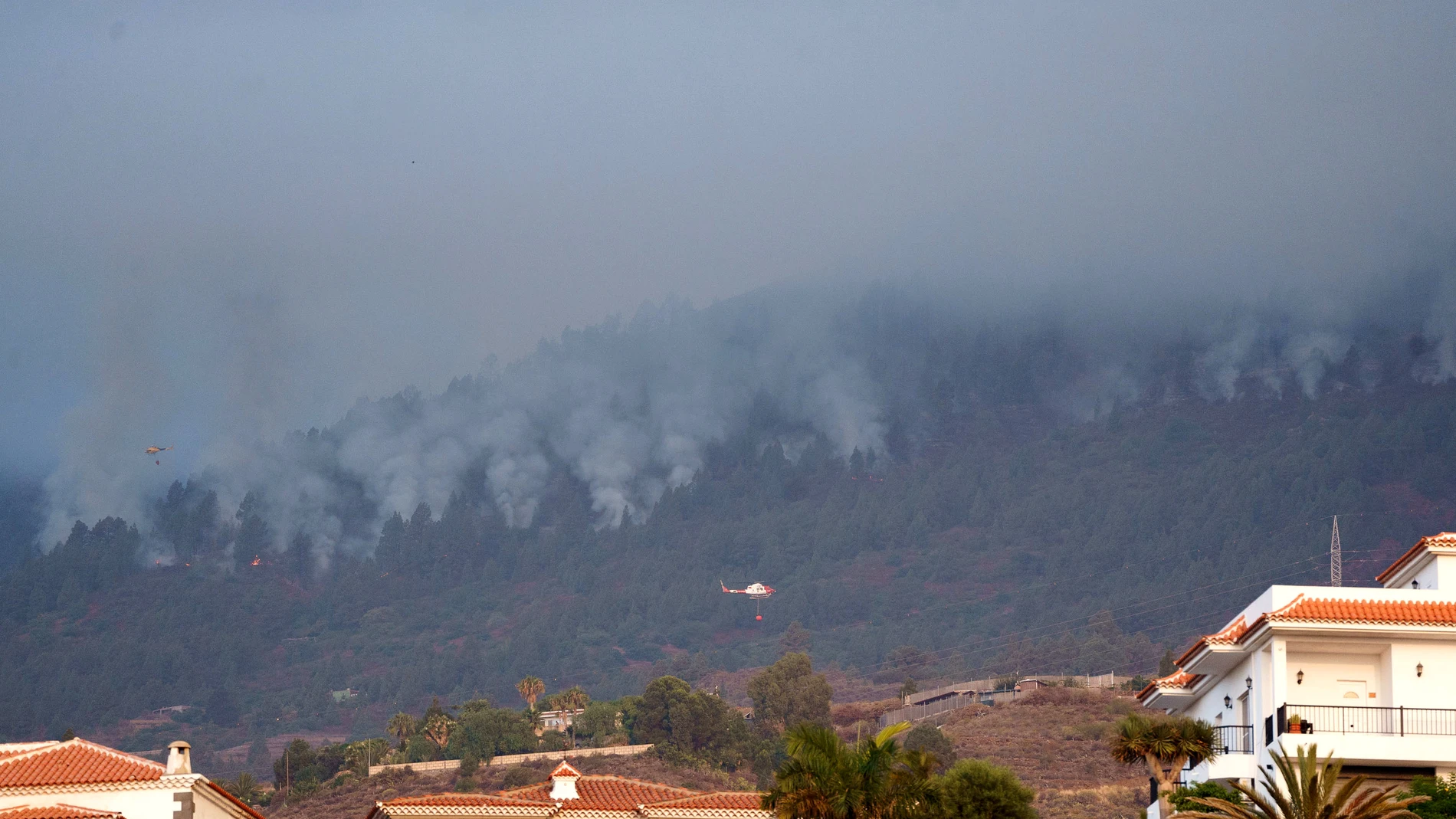 CANDELARIA (TENERIFE), 16/08/2023.- Los medios aéreos del Gobierno de Canarias y del Estado han comenzado a intervenir a primera hora de este miércoles en el incendio forestal que comenzó a últimas horas de anoche en los montes de Arafo, en Tenerife, y que ya afecta también a la zona alta de Candelaria. En la zona ya intervienen las brigadas forestales del Cabildo de Tenerife y de Bomberos de Tenerife así como bomberos voluntarios de Güímar y La Laguna. El fuego ha obligado a desalojar de man...