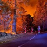 Miembros de la Unidad Militar de Emergencias (UME) en las tareas de extinción del incendio en Tenerife