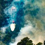 El incendio en Tenerife se agrava en la zona norte provocando nuevas evacuaciones