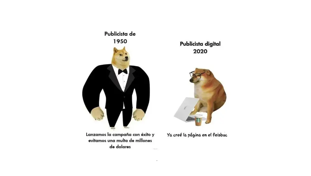 Meme Cheems