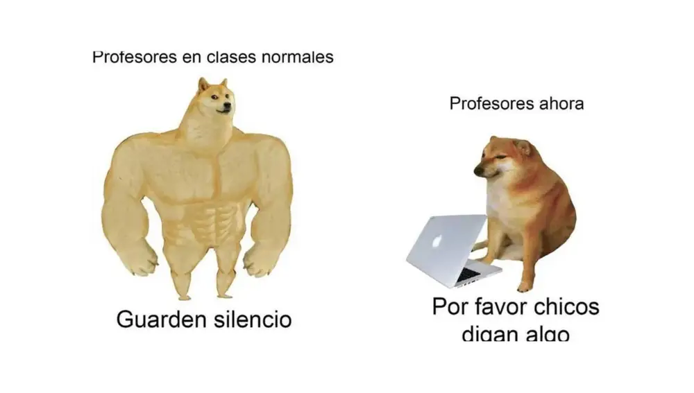 Meme Cheems