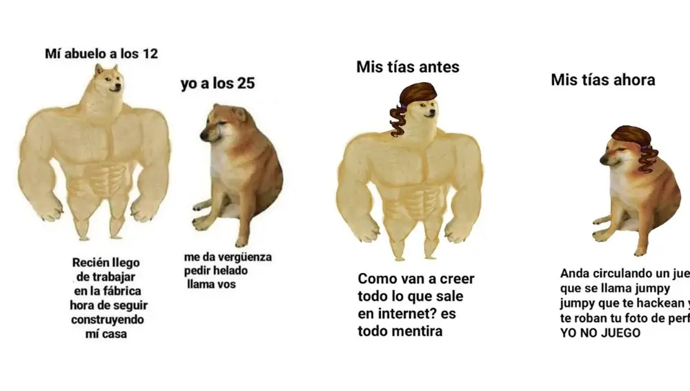 Meme Cheems