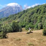 Rescate del montañero palentino con taquicardias en Picos de Europa