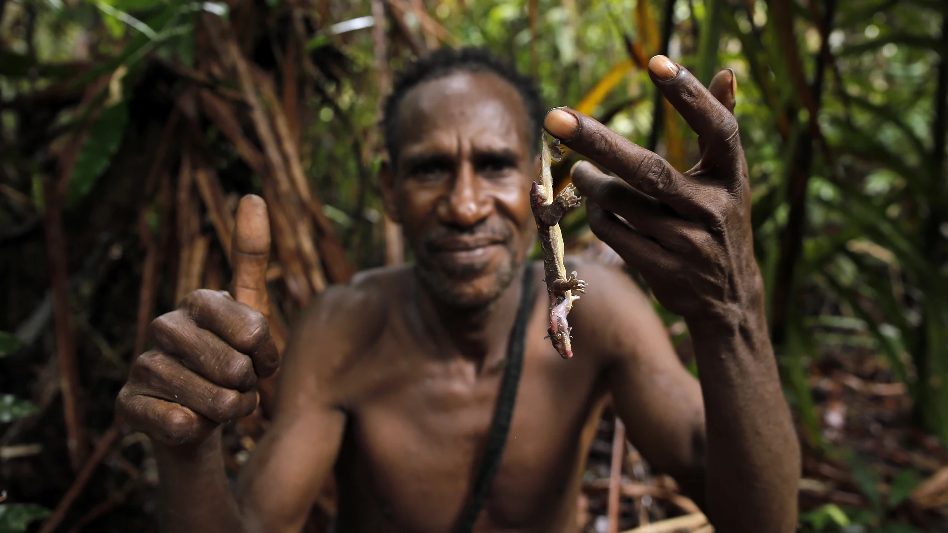 Los Korowai practican el canibalismo y castigan a ladrones y criminales comiéndose todo su cuerpo, excepto el pene
