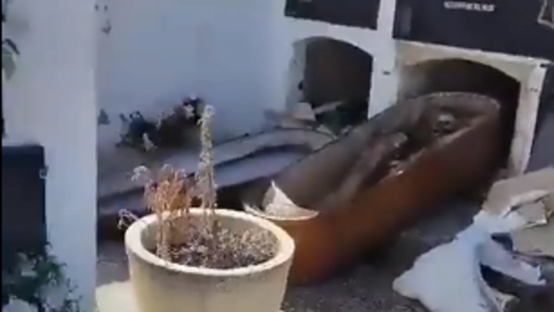 Nichos profanados y ataúdes esparcidos en un saqueo al cementerio de Bufali (Valencia)