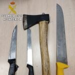 Las armas intervenidas