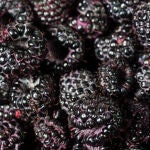 Los superalimentos contienen una gran cantidad de nutrientes y beneficios para la salud