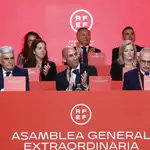 Luis Rubiales, en la Asamblea Extraordinaria de la RFEF