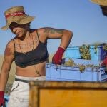En la imagen, una jornalera descarga la uva de uno de los camiones para secarla al sol. 