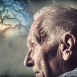 Harvard podría haber descubierto una vía para acabar con la enfermedad de Alzheimer