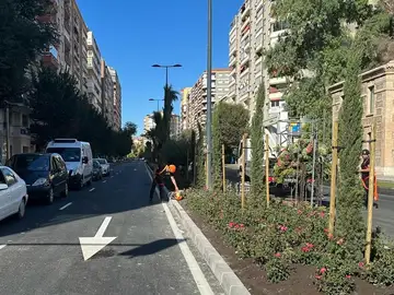 El tráfico en el centro de Murcia recupera la normalidad El tráfico en el centro de Murcia recupera la normalidad