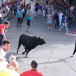 La villa de Cuéllar celebra el tercer encierro 