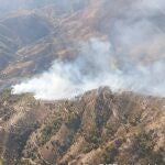 Trece medios aéreos y 133 efectivos por tierra tratan de extinguir un fuego en Almuñécar