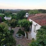 Cielo, árboles y una mastina yogui arropados por Sierra Morena