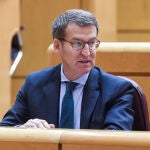 El presidente del PP, Alberto Núñez Feijóo
