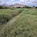El Segura a su paso por la pedanía de Molins y La Campaneta