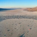 Imagen del festival 'Burning Man' 