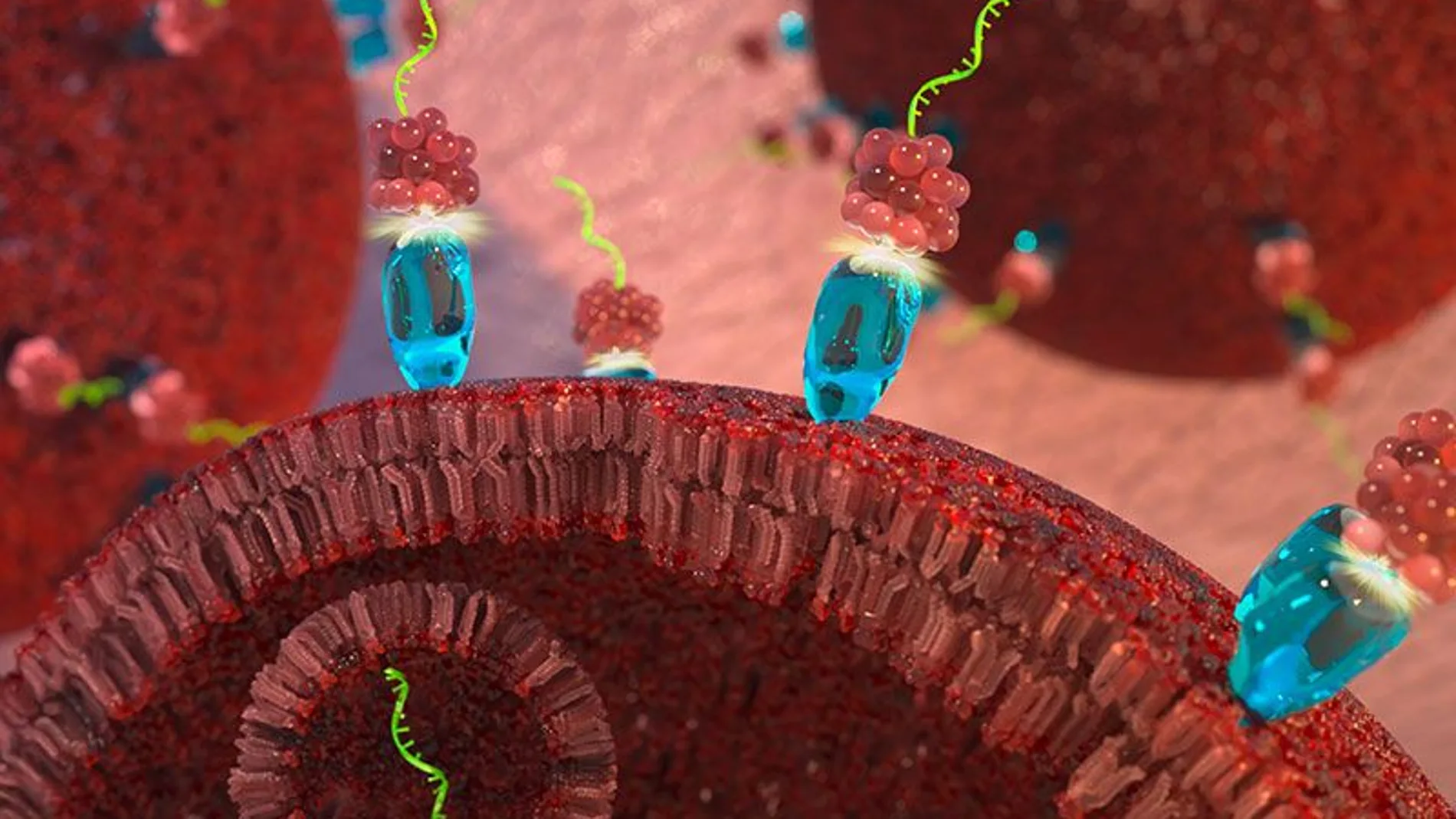La terapia de microARN dirigida frena el crecimiento del tumor canceroso