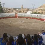 Los toros, protagonistas en las Fiestas en honor a la Natividad de Nuestra Señora de Barbastro (Huesca)
