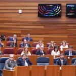 Un instante de las votaciones en la Cámara autonómica