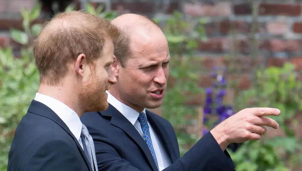 príncipe Harry y Príncipe Guillermo