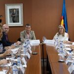 El conseller de Sanidad, Marciano Gómez, durante la reunión del Consejo de gobierno del Consorci Hospitalari Provincial de Castelló