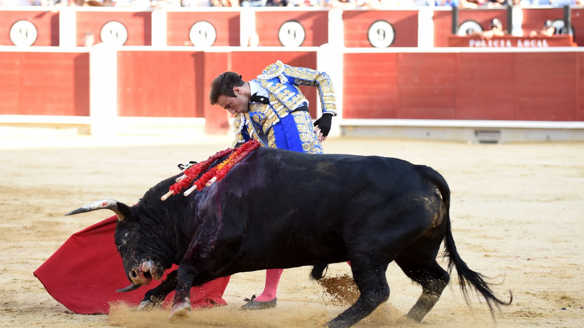 Derechazo de José Fernando Molina