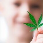  Uso médico del cannabis 