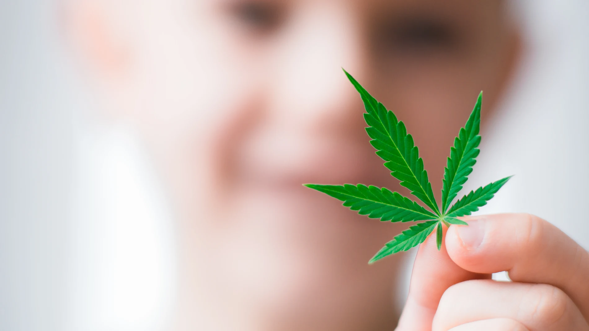 Uso médico del cannabis