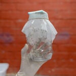 Los mosquitos portadores de Wolbachia serán liberados semanalmente durante seis meses