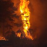 Incendio en San Bartolomé de Rueda (León)