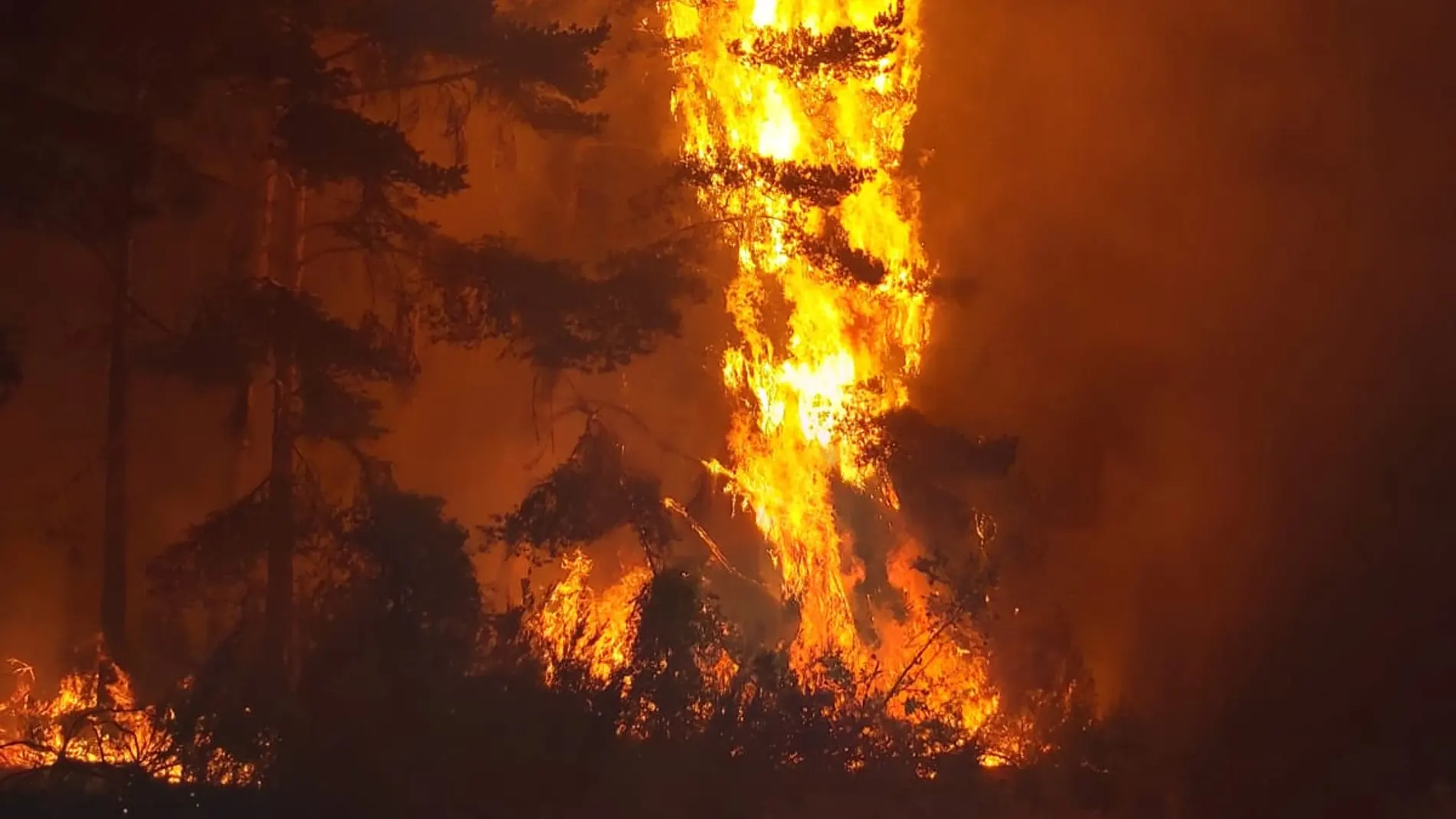 Incendio en San Bartolomé de Rueda (León)