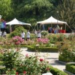 La Rosaleda del Parque del Oeste renovará sus pérgolas, vallado y pavimento