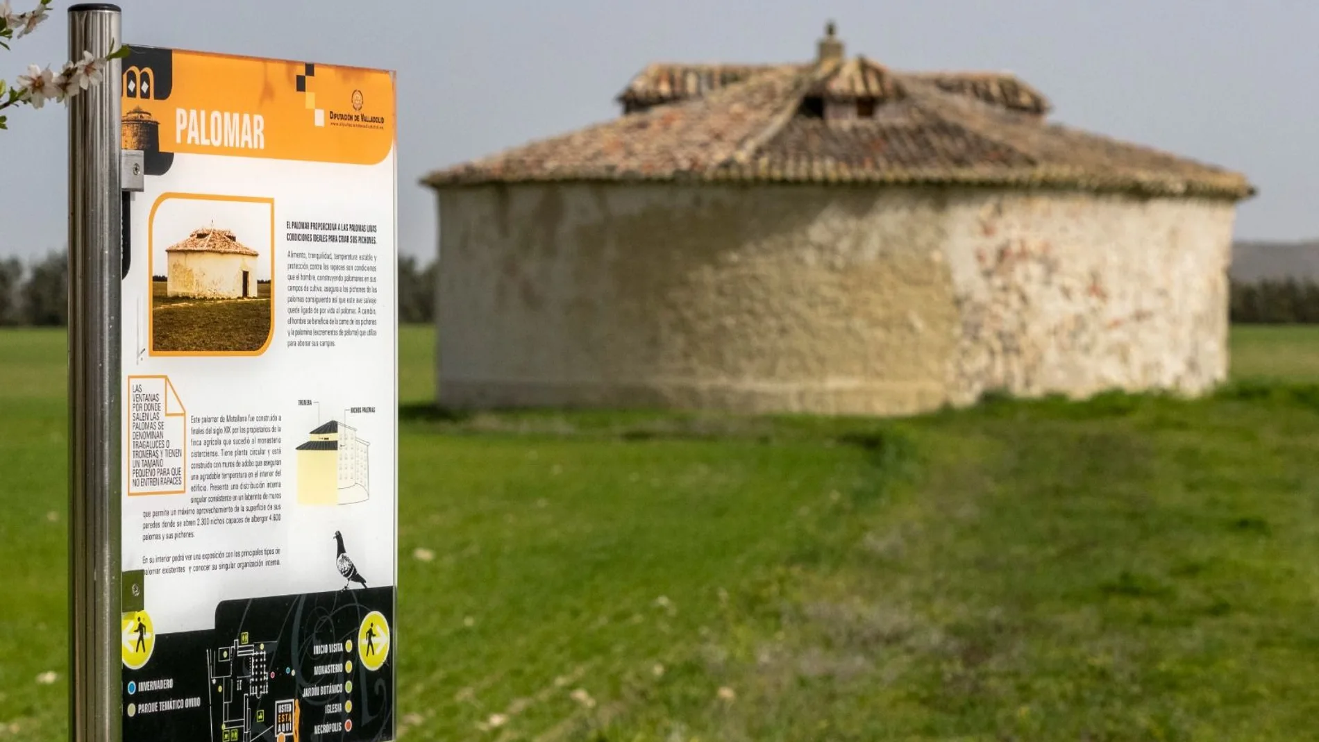 Palomar en la tierra de campos vallisoletana
