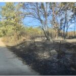 Paraje donde se produjo el incendio