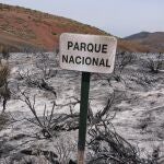 El Parque Nacional del Teide tras el paso del incendio forestal que afecta a la isla de Tenerife. 