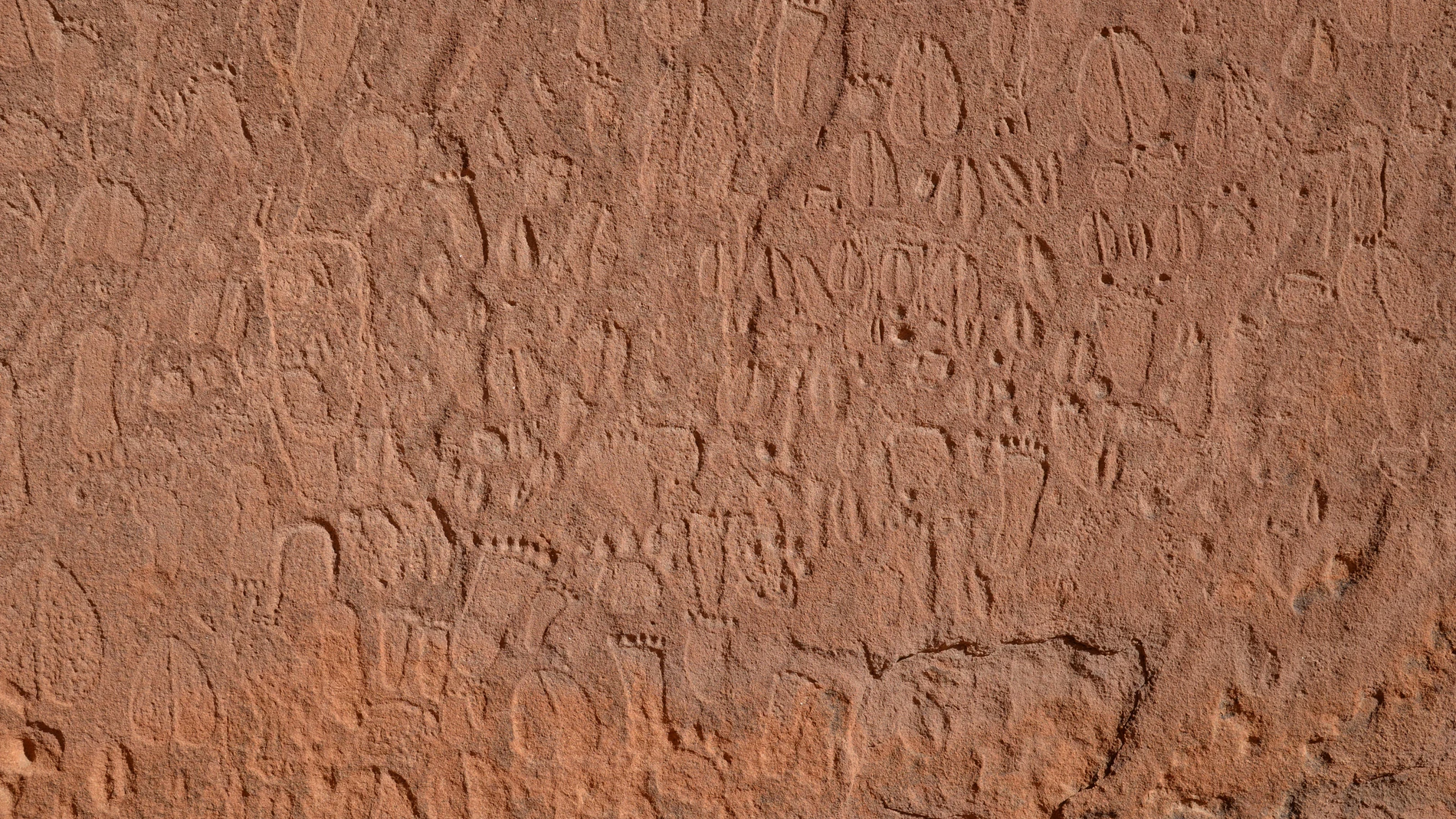 Detalle de las representaciones de huellas humanas y huellas de animales de la Edad de Piedra en las montañas Doro Nawas, Namibia