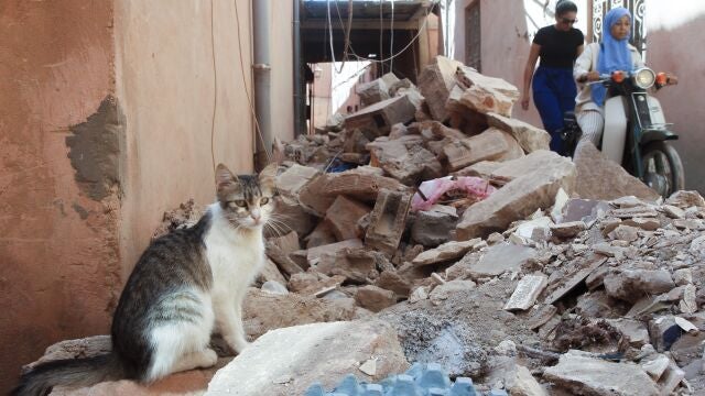 Vista de una calle próxima al Palacio Badia de Marrakech invadida de escombros.