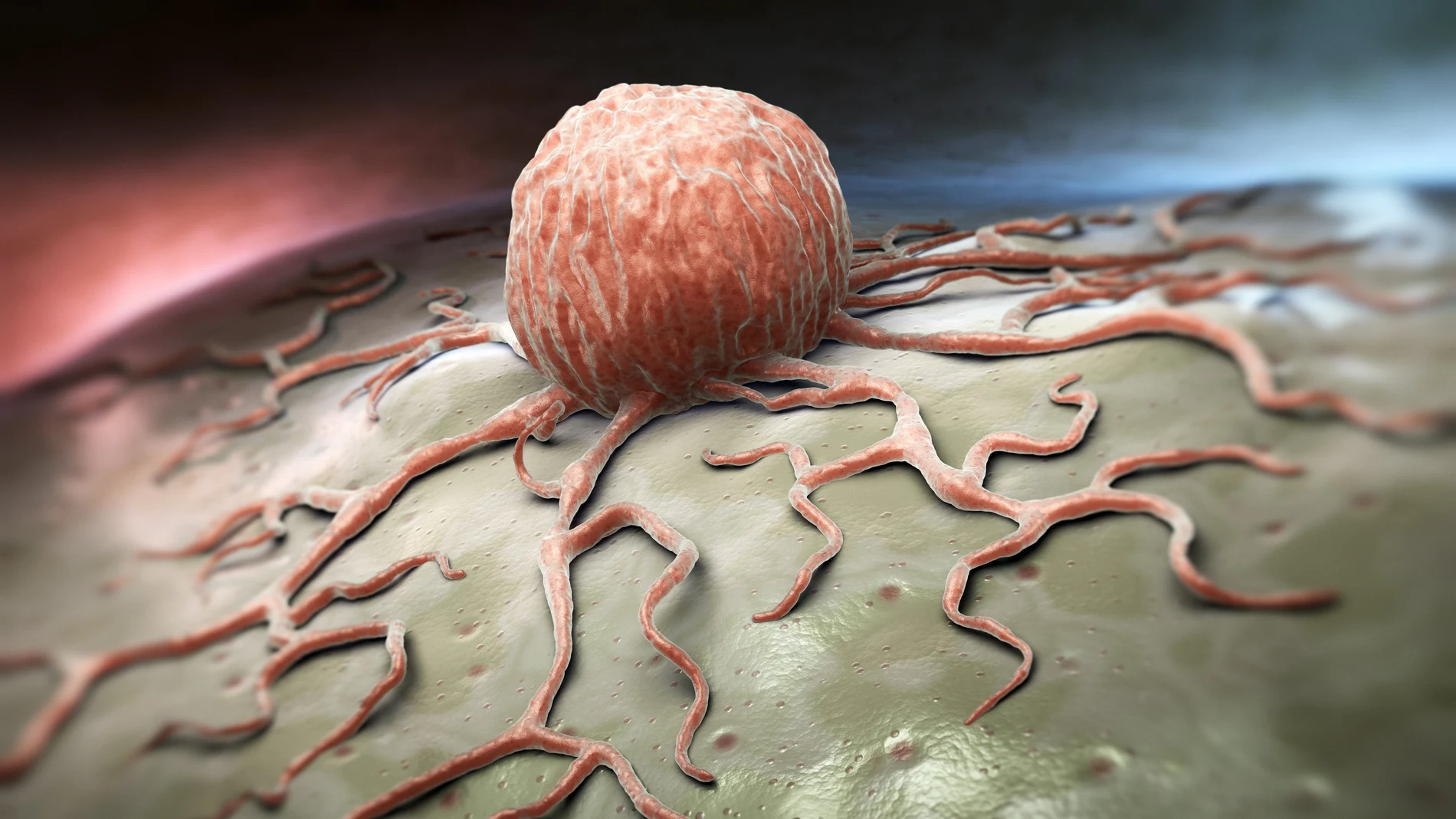 Célula cancerígena