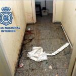 Salvaje crimen en Alicante: una mujer de 81 años y su hijo matan a un joven de 18 años tras torturarle durante 15 horas