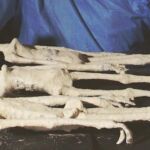Tres de las figuras supuestamente momificadas