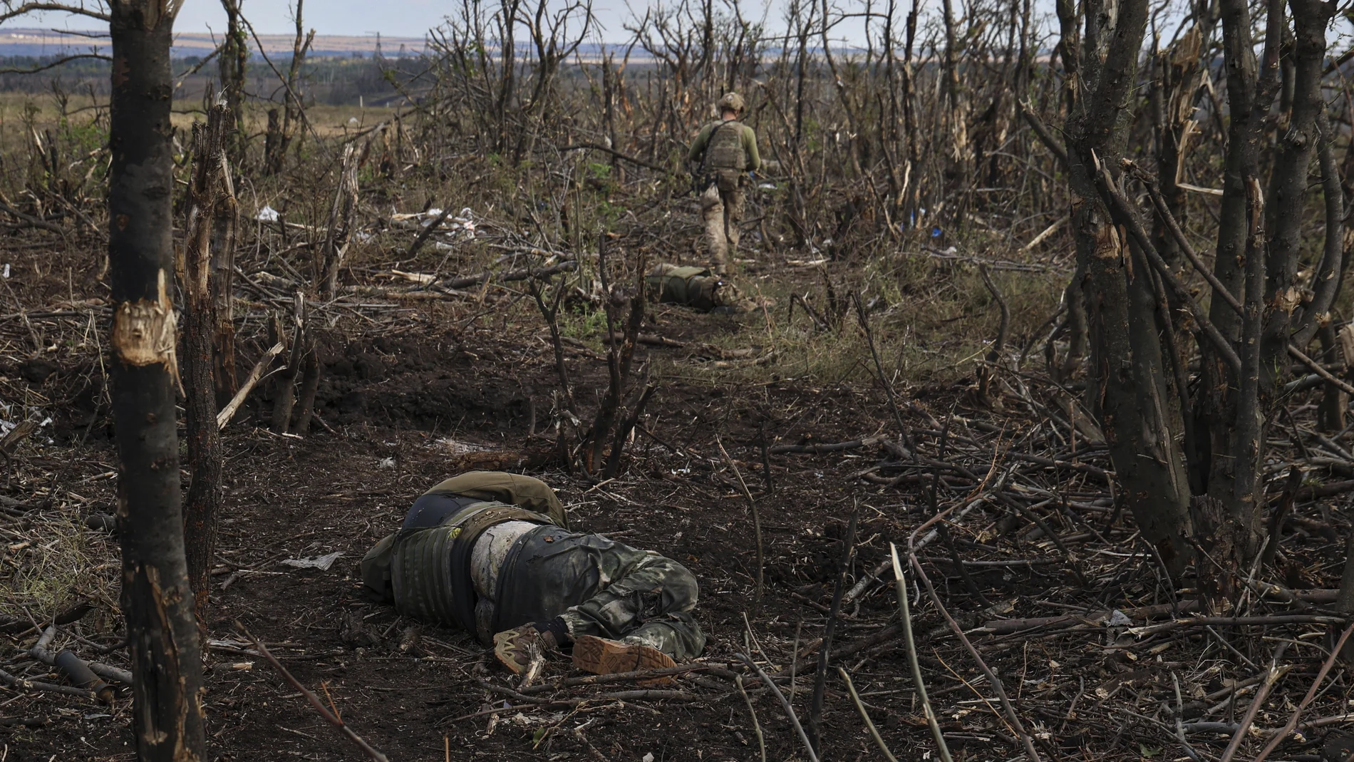 Ciertos países en el mundo se encuentran entre guerras y conflictos, y en algunos casos como Ucrania o Gaza, se involucra la comunidad internacional