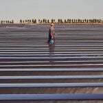 La innovación está cada vez más presente en la agricultura