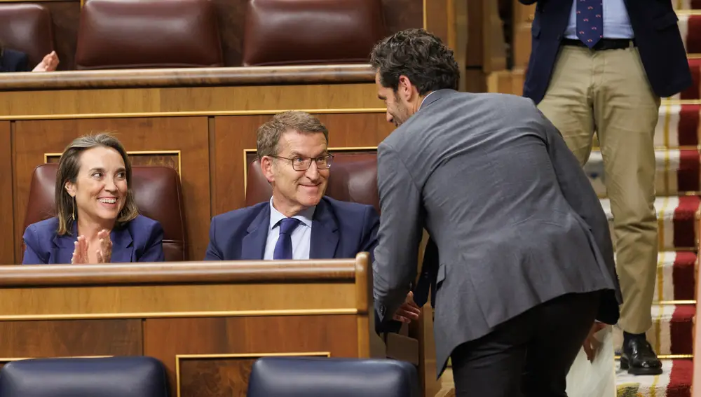 El Congreso aprueba el uso de las lenguas cooficiales