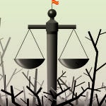 La conjura de los necios