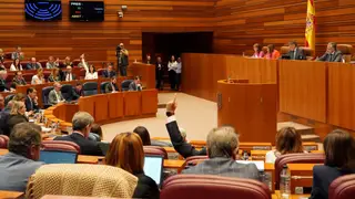 Pleno de las Cortes de Castilla y León Pleno de las Cortes de Castilla y León